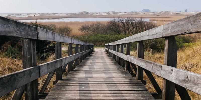 卢氏瑞泽：以创新工业解决方案驱动机械设备进阶之路