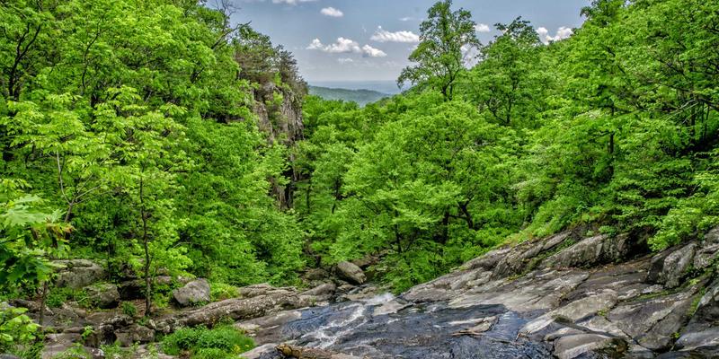 卢氏瑞泽:以创新机械设备驱动工业解决方案的智能化变革
