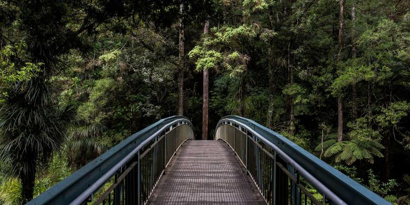 工业设备4.0时代：卢氏瑞泽如何以创新机械设备驱动智能工业解决方案