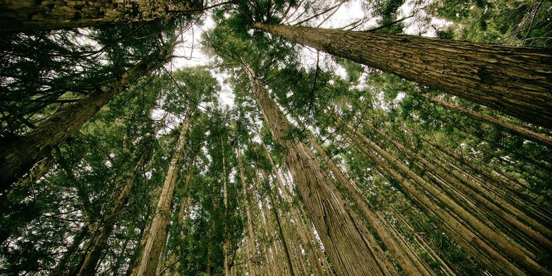 工业设备50：驱动现代工业转型的核心解决方案与销售新范式