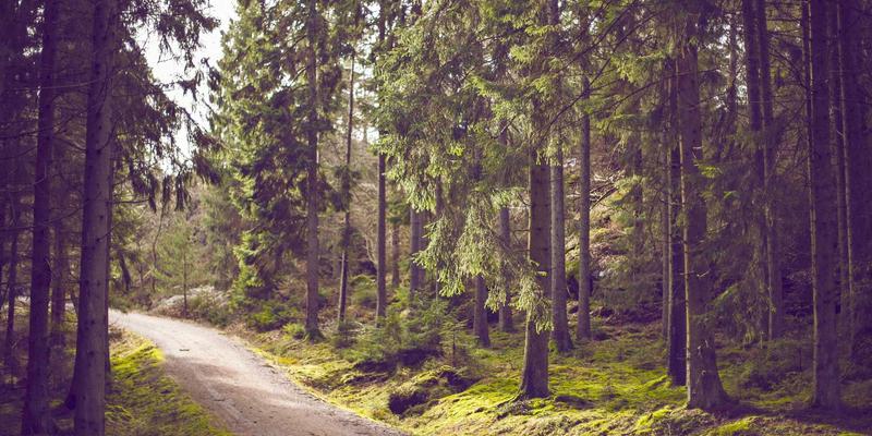 工业设备56：卢氏瑞泽如何以创新工业解决方案驱动产业升级