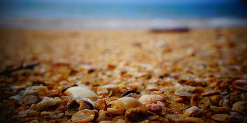 工业设备74：解码卢氏瑞泽在设备销售领域的核心竞争力