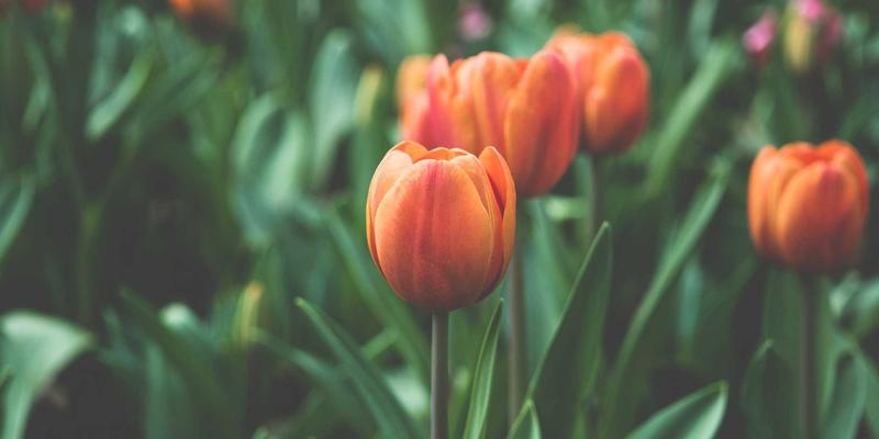 工业设备75：驱动现代制造业的机械设备与综合解决方案