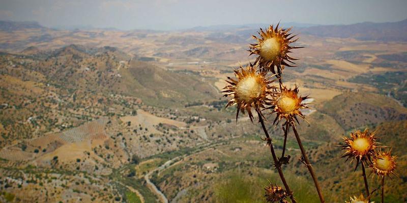 工业设备83：驱动现代制造业的核心力量与采购策略