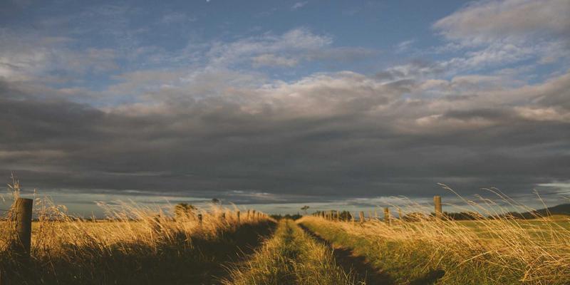 工业设备97时代:卢氏瑞泽如何以智能机械设备重塑工业解决方案