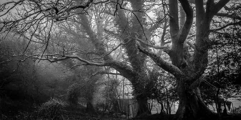 工业设备采购指南：如何选择可靠供应商与卢氏瑞泽的专业解决方案