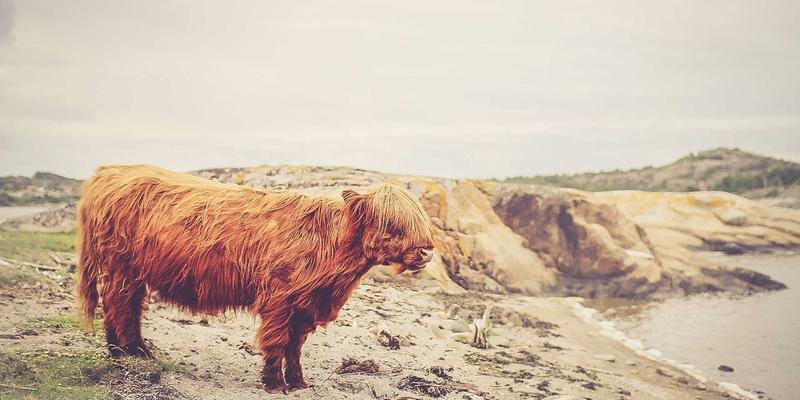 工业设备销售新维度：极端环境下的可靠性工程解决方案