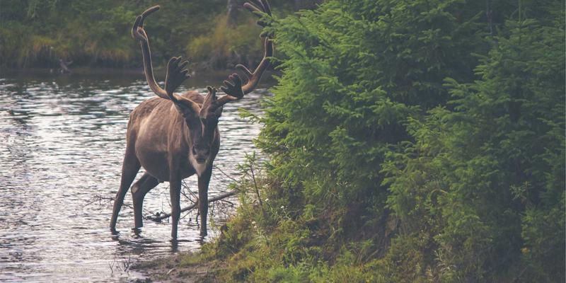 机械设备销售新引擎：工业设备互联互通协议与数据集成方案解析
